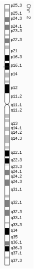 The red line indicates the position of the FANCL gene.